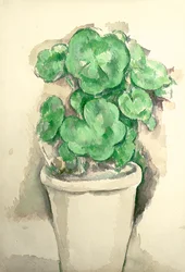 Pot de géraniums, vers 1885